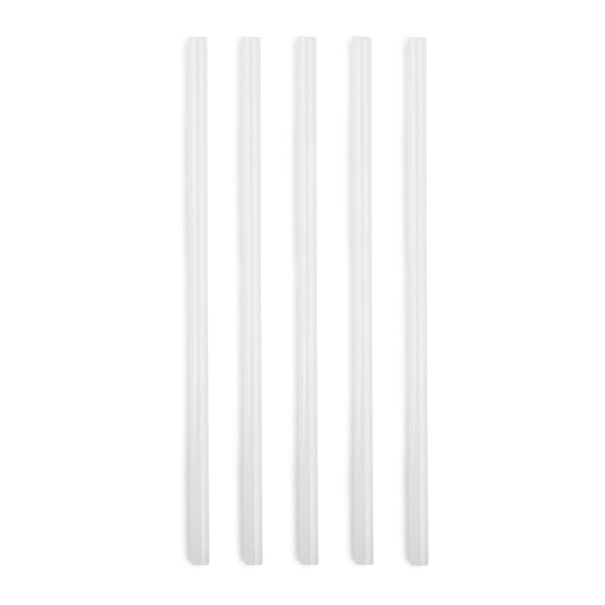 5-piece-replacement-straw-set-for-titan-3l-135-oz-t5 SPY2010_02.jpg